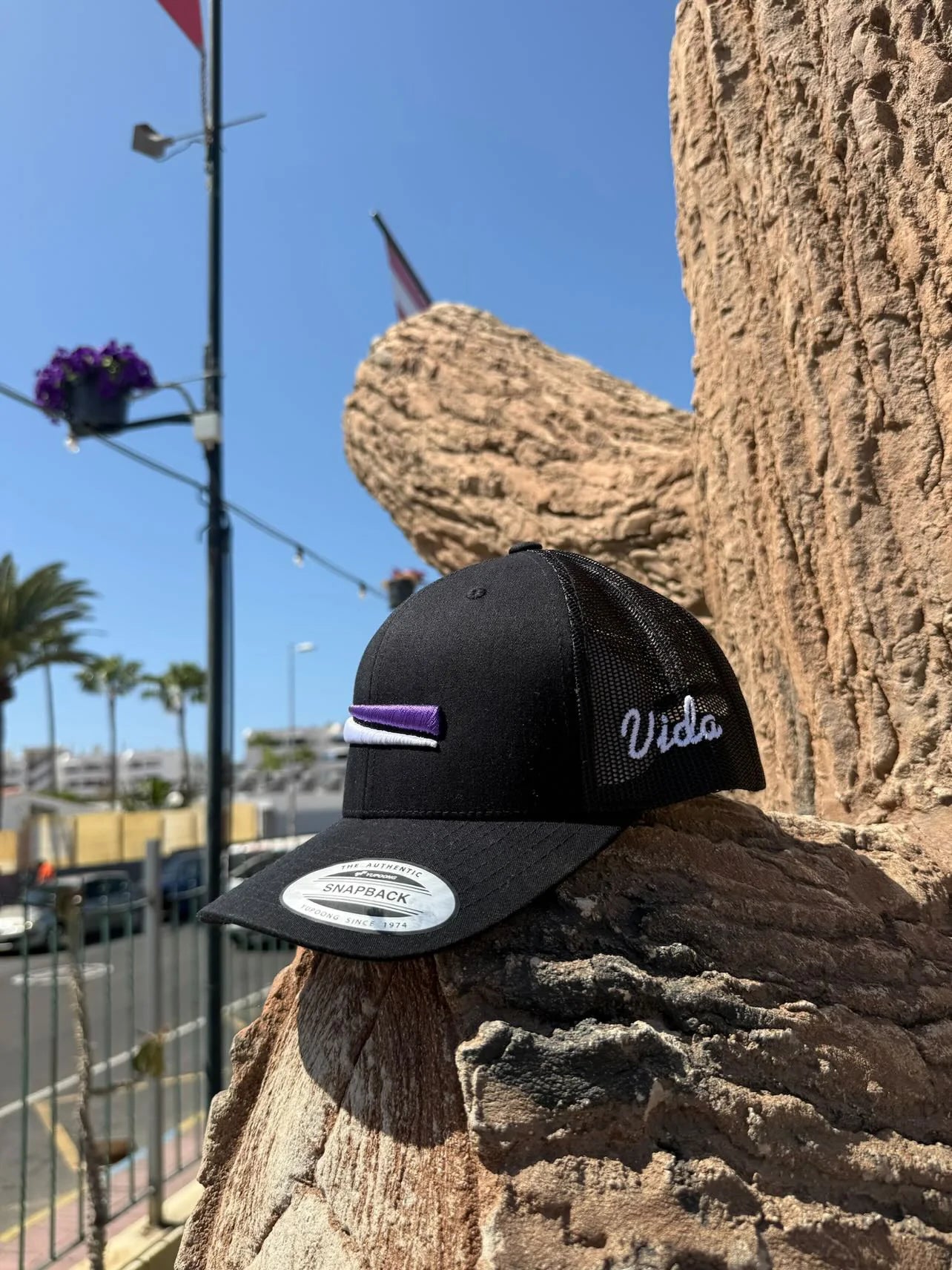 Black Vida Snapback Cap